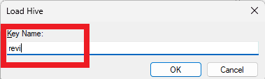 Set Key Name to revi