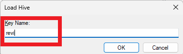 Set Key Name to revi